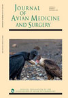 JOURNAL OF AVIAN MEDICINE AND SURGERY杂志封面